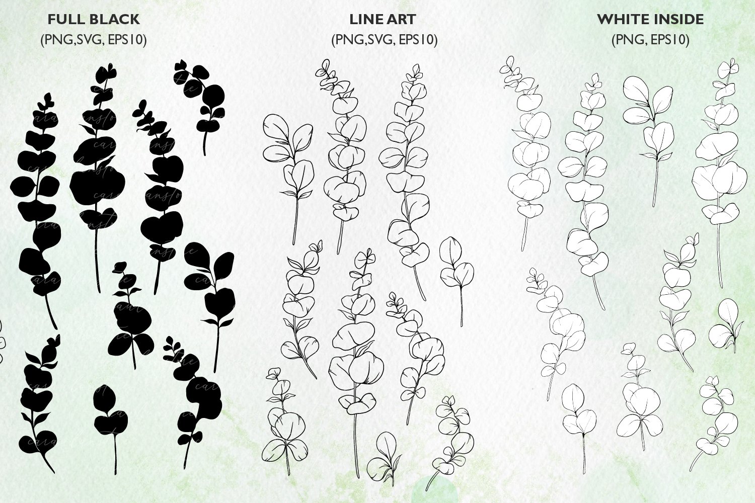 Eucalyptus SVG, Eucalyptus silhouette SVG, PNG, EPS10 2